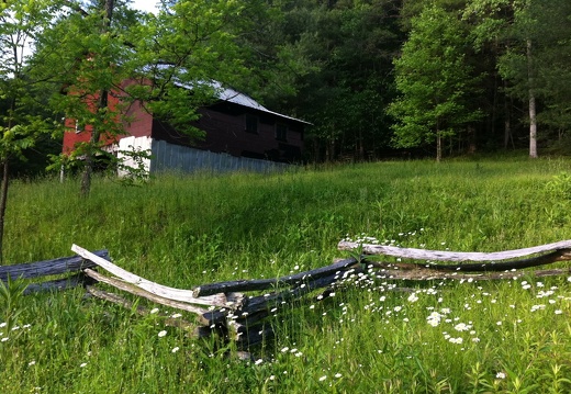 Litton &amp; Slaven Farmstead, Big South Fork - 31